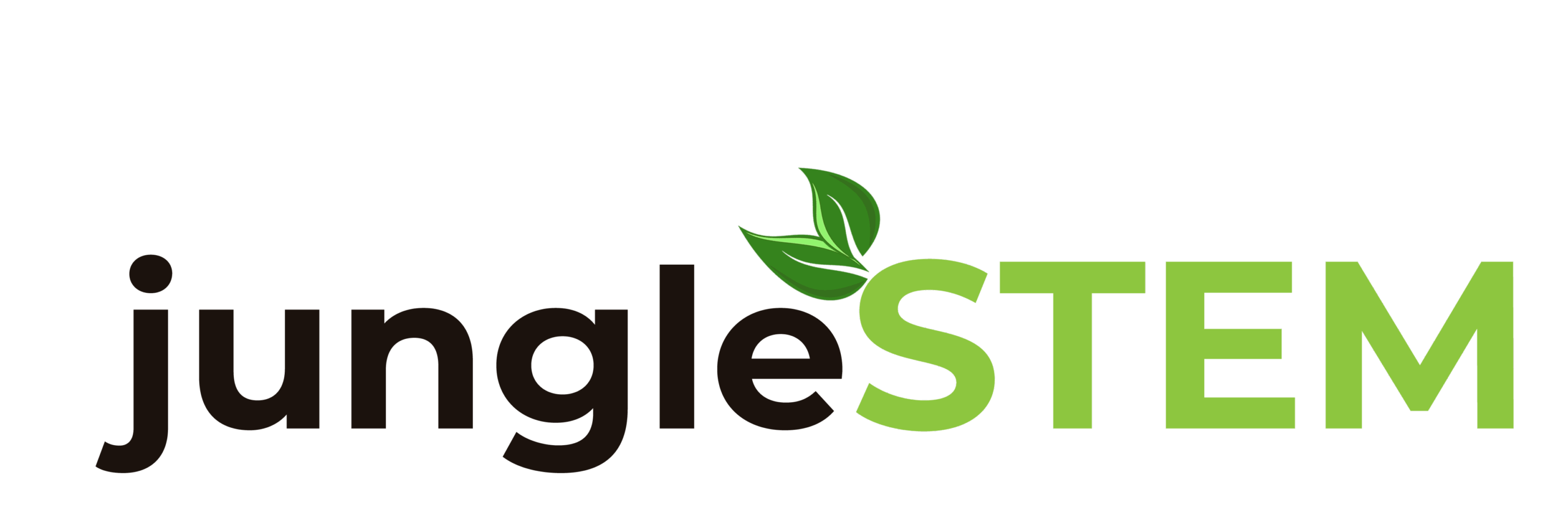 jungleSTEM, LLC | smarter technology – brilliant business | 1 337 BINARY1